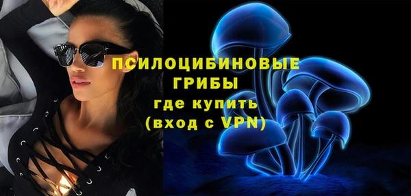 прущие грибы Россошь
