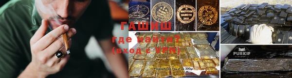 прущие грибы Россошь