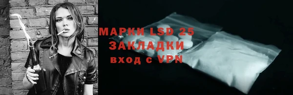 прущие грибы Россошь