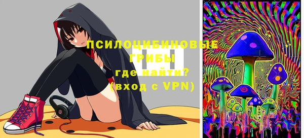 прущие грибы Россошь