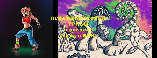 прущие грибы Россошь