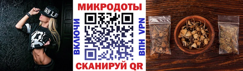 Галлюциногенные грибы Psilocybe Хотьково